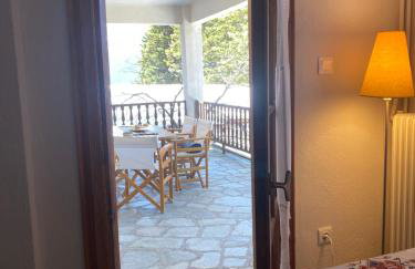 Evergreen Elati - Foto 43