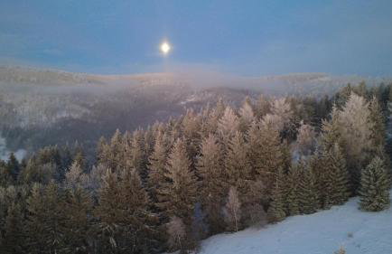 Vista - Domek Wakacyjny w Górach Sowich - Foto 42