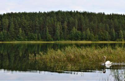 Dom Letniskowy na Kaszubach z podgrzewanym basenem - Foto 2