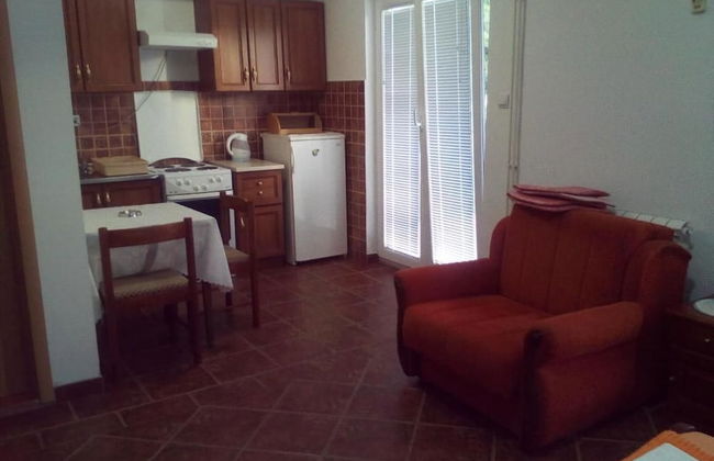 Apartmani Mitrovic Podlicak - Foto 20