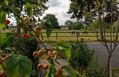 "Kleine Pause" - Foto 43