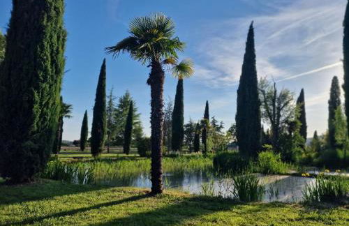Gîte L'Olivier - La Roseraie du Val'Ensoleillé - Photo 41