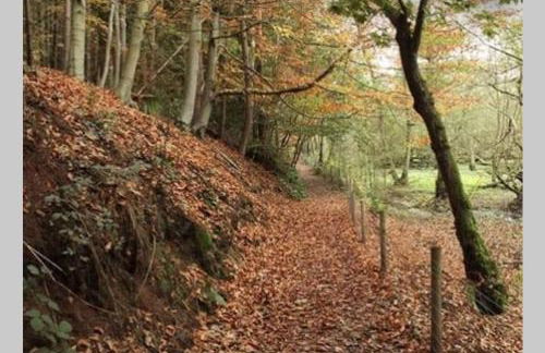 Cosy and Peaceful Maisonette with Terrace, Kidderminster - Foto 40