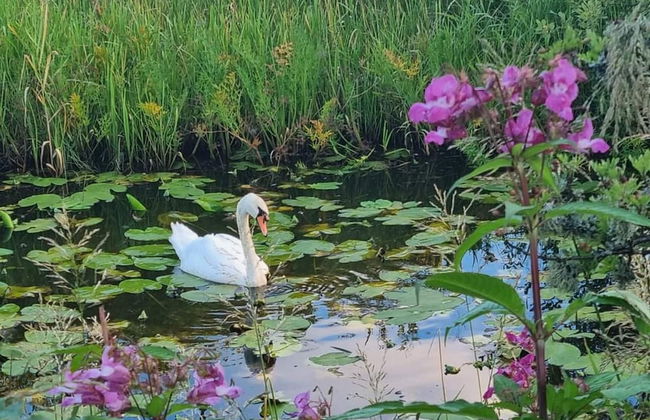 2 Bedroom Sleeps 4 Lodge-smart Tv-hot Tub-dogs Ok - Foto 19