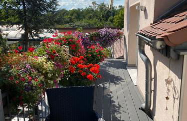 Ferienwohnung Müller - Photo 16