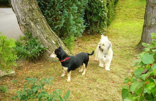 Holiday Home Country House Kathy - Foto 61