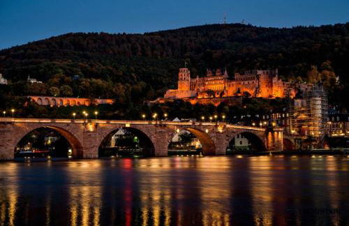 2 Exklusiv Apartments nähe Heidelberg für 1-4 Personen mit großen Terrassen - Foto 29