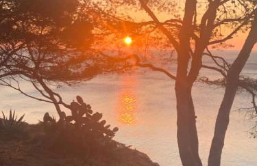 VILLA VEGAS - piscine privée - Foto 32