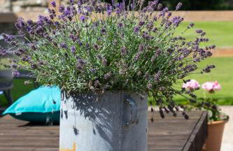 The Caradoc - Foto 29