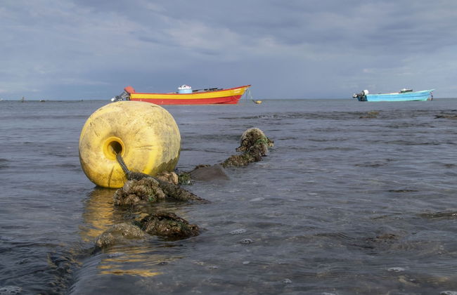 Villas Cabuya Beach & Forest - Foto 49
