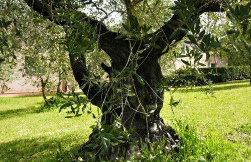 Agriturismo Gli Archi - Foto 40