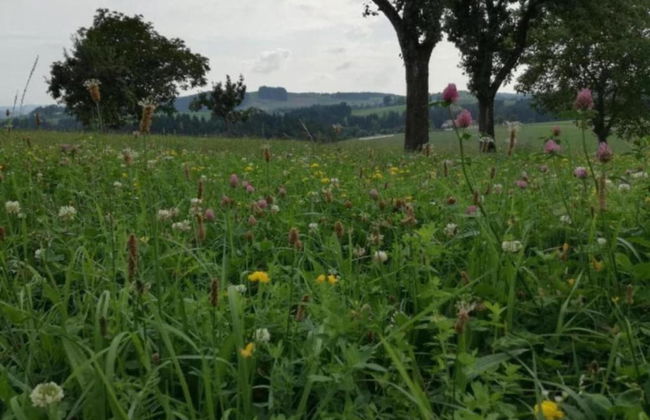 Gorgeous Holiday Home in Altenfeld Thuringia - Foto 59