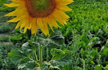 Apartment "Paris" - Photo 65