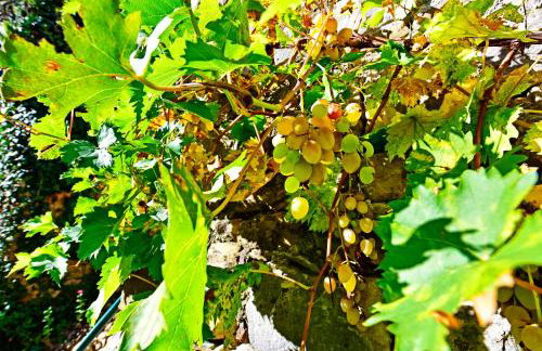 Villa Fragola - Foto 57