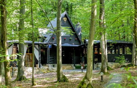 Forest Escape with Jacuzzi & Pool Among the Trees by Destination GREEN Croatia - Foto 2