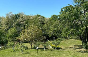 Kuća Šuma - Foto 56