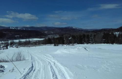 Mountain Retreat - Photo 26