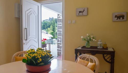 Casa do Carvalhal - natureza no centro da cidade - Foto 5