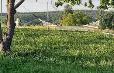 Gosp. Agroturystyczne Stary Gaj - Foto 40