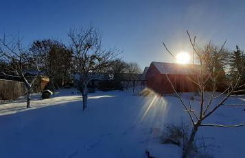 Przystanek Bajka w Puszczy Zielonce - Foto 5