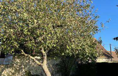 La grange Mirabelle - Foto 15