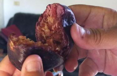 Casa Omaira y Nacho - Foto 57