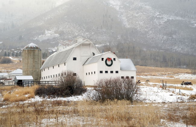 The Miners Club - Foto 17