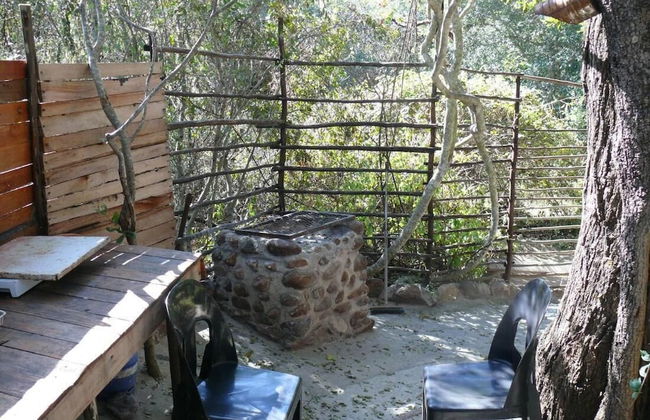 3 bed Bush-tent Under 3 Trees, for Couple Plus Chaperone Free Lionhyena Sounds - Foto 13