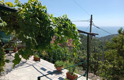 CA DU STEA - Foto 18