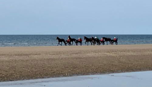 Bener'Inn Au calme Une maison 3 chambres 125 m2 ou Une maison 2 chambres 50 m2 ou les 2 maisons - Foto 4