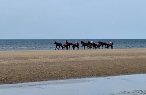 Bener'Inn Au calme Une maison 3 chambres 125 m2 ou Une maison 2 chambres 50 m2 ou les 2 maisons - Foto 4