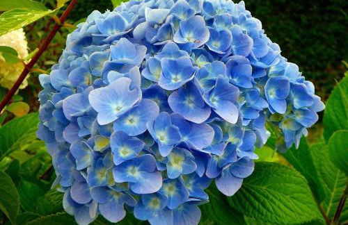 Character 2BR Upper Retreat with BBQ Terrace Parking - Photo 83