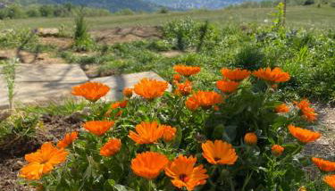 Gîte à la campagne - Foto 4