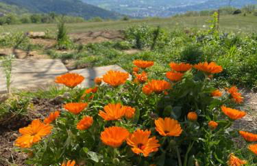 Gîte à la campagne - Foto 4