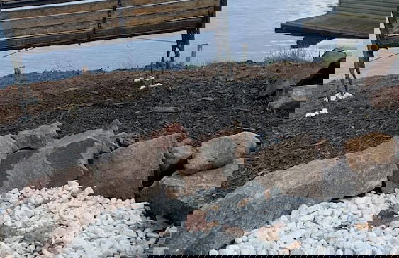 Muskoka Lake Cottages - Foto 65