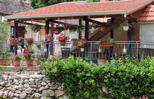 Apartment Bajama - Photo 1