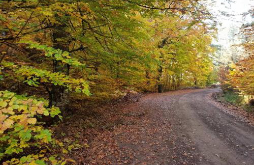 Pallas Casa - Photo 43