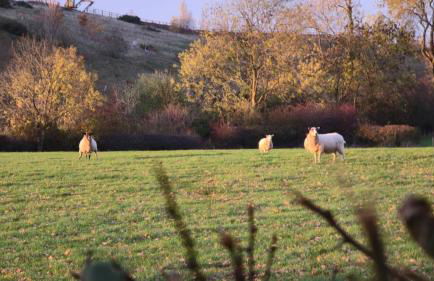 Lovett Haven Hot Tub near Bradgate Sleeps 6 - Foto 55