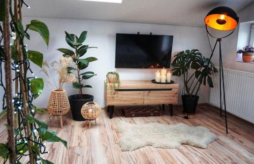 Loft Żuławy, apartament na wyłączność - Foto 4