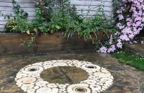 Apple Blossom - Photo 29