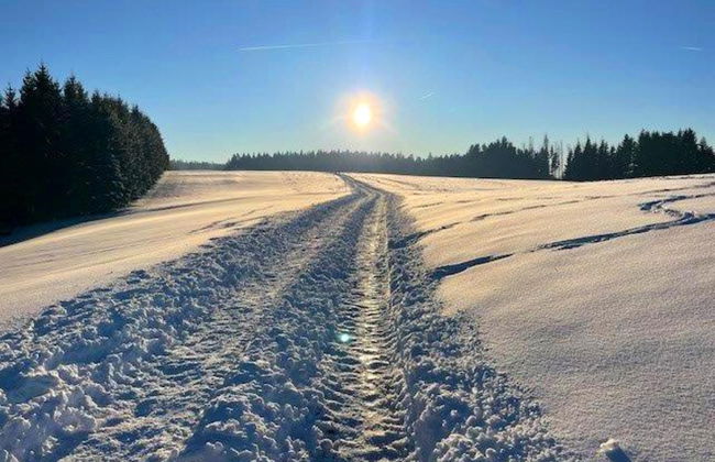 Pleasing Apartment in Herrischried near Forest - Foto 19