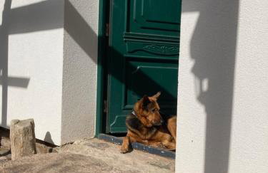 Dom Gościnny Zarembianka - Foto 11