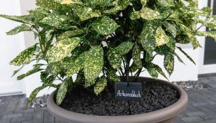 Ostseehaus am Naturstrand - Arkonablick - Foto 2