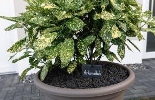 Ostseehaus am Naturstrand - Arkonablick - Foto 2