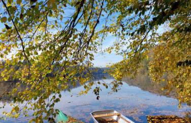 Traumblick Bayerischer Wald, Pool & Sauna, Getränke, Klimaanlage - Foto 61
