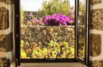 Casa Los Olivos - Foto 34