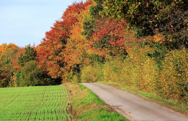 Modern Stay With Hot Tub - Photo 26