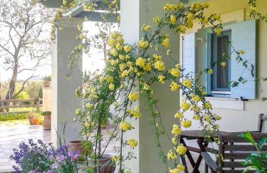 Aroggia Farm - Foto 12