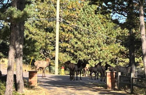 Mountain Top Luxury Red Rocks Hot tub Sauna Views - Photo 59