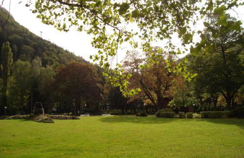 One-bedroom apartment - Foto 18